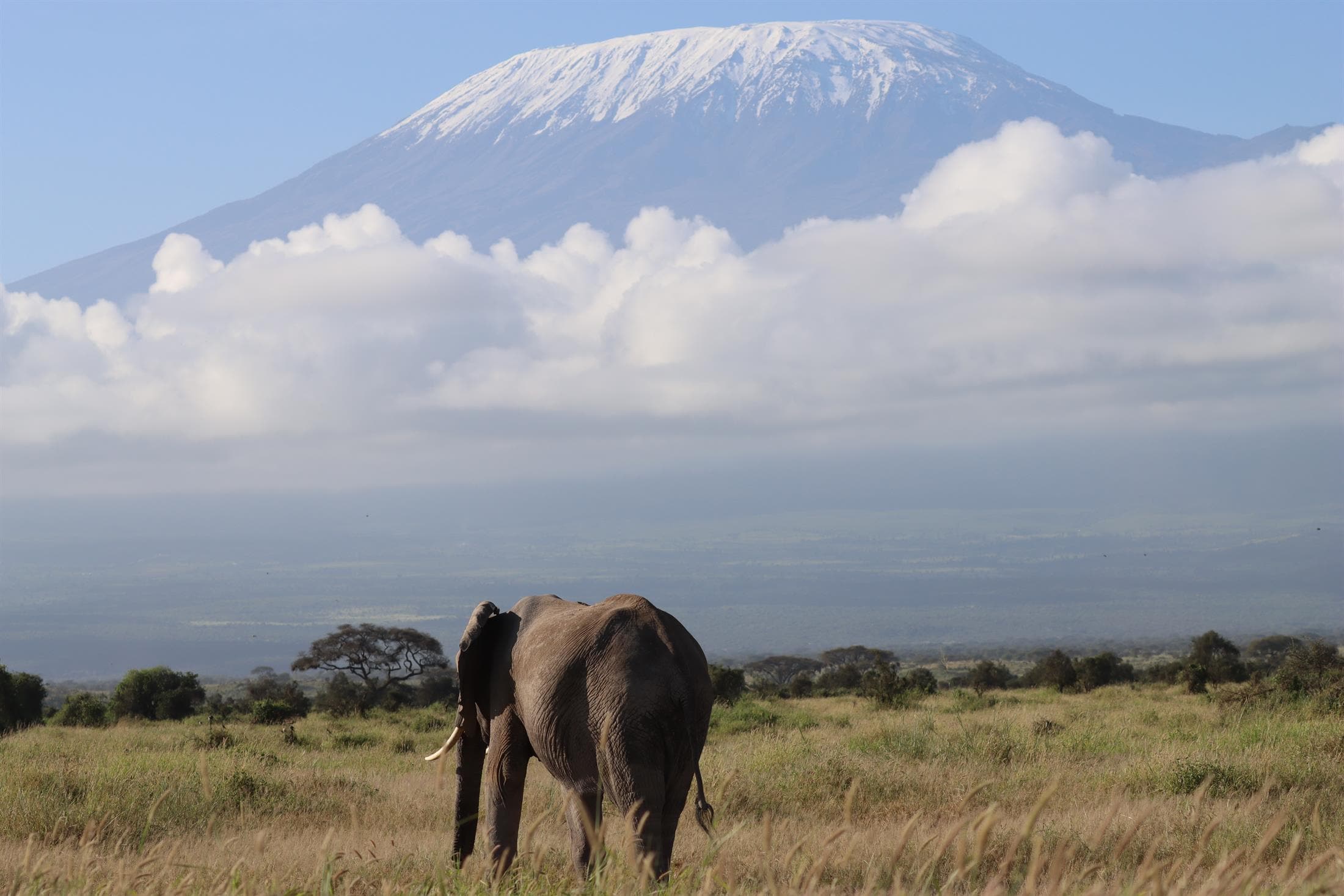 Mountain safari route