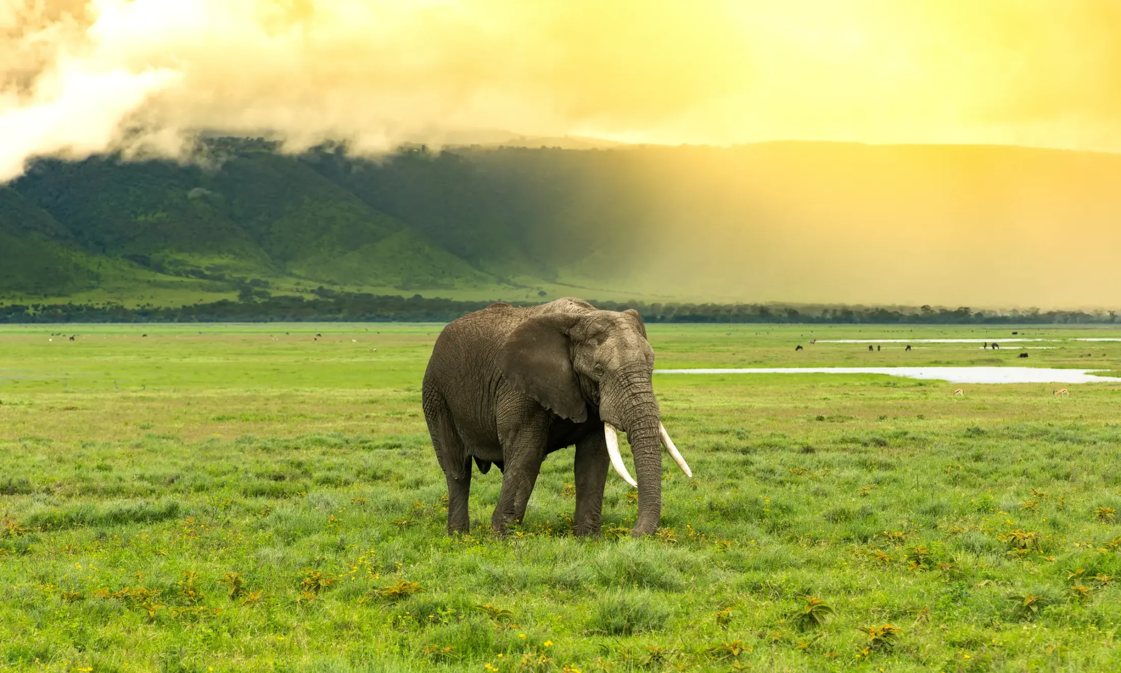 Tarangire & Ngorongoro Safari itinerary