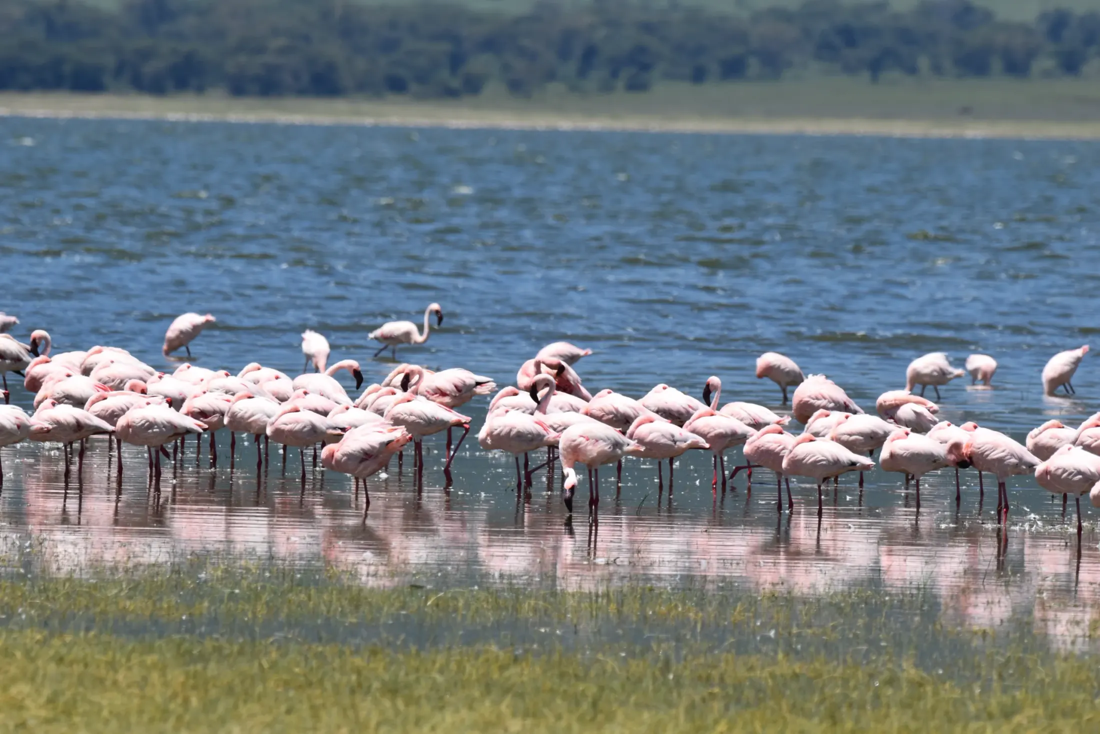 Arusha, Tarangire & Lake Manyara itinerary