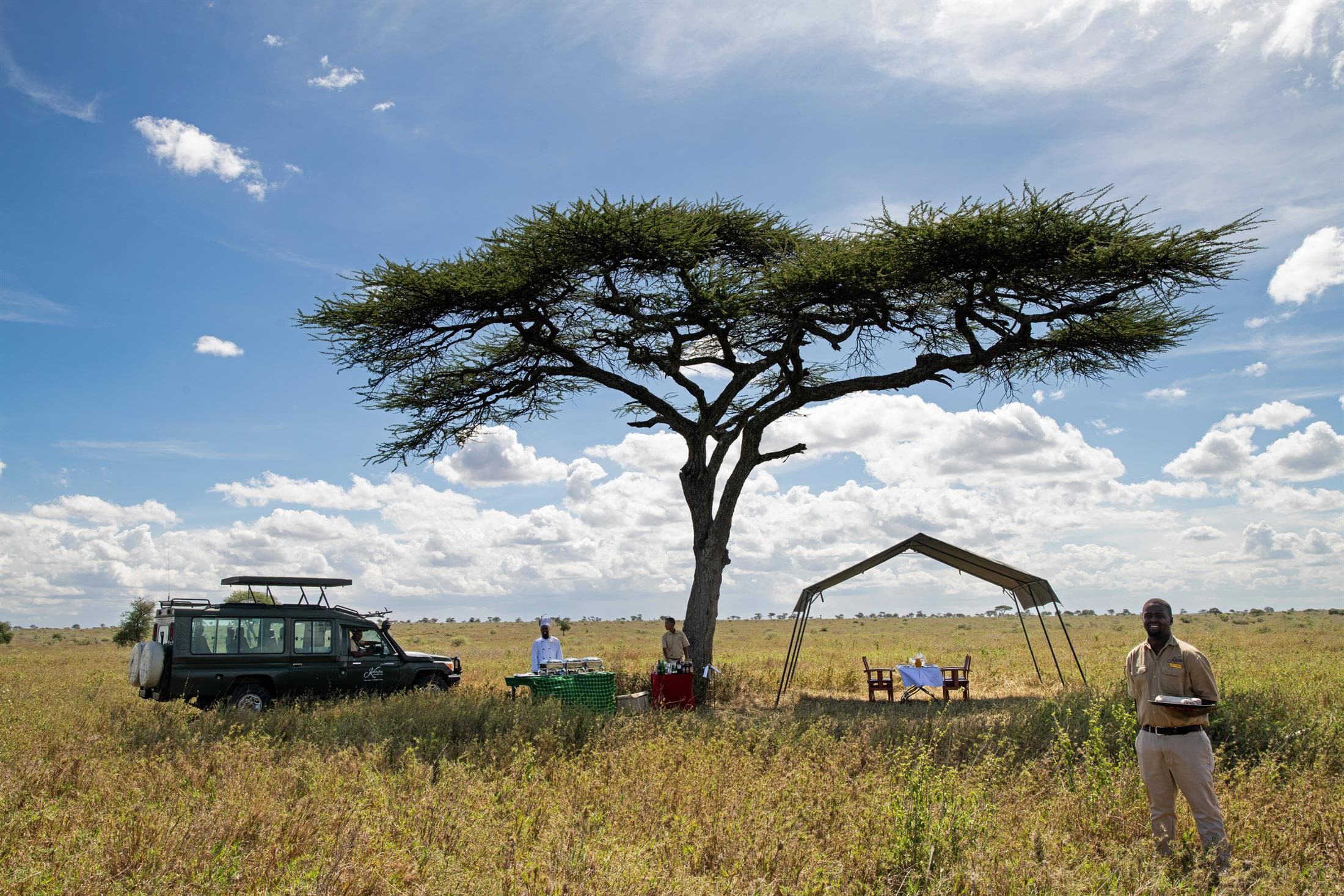 Simba Tour - Ultimate Safari itinerary