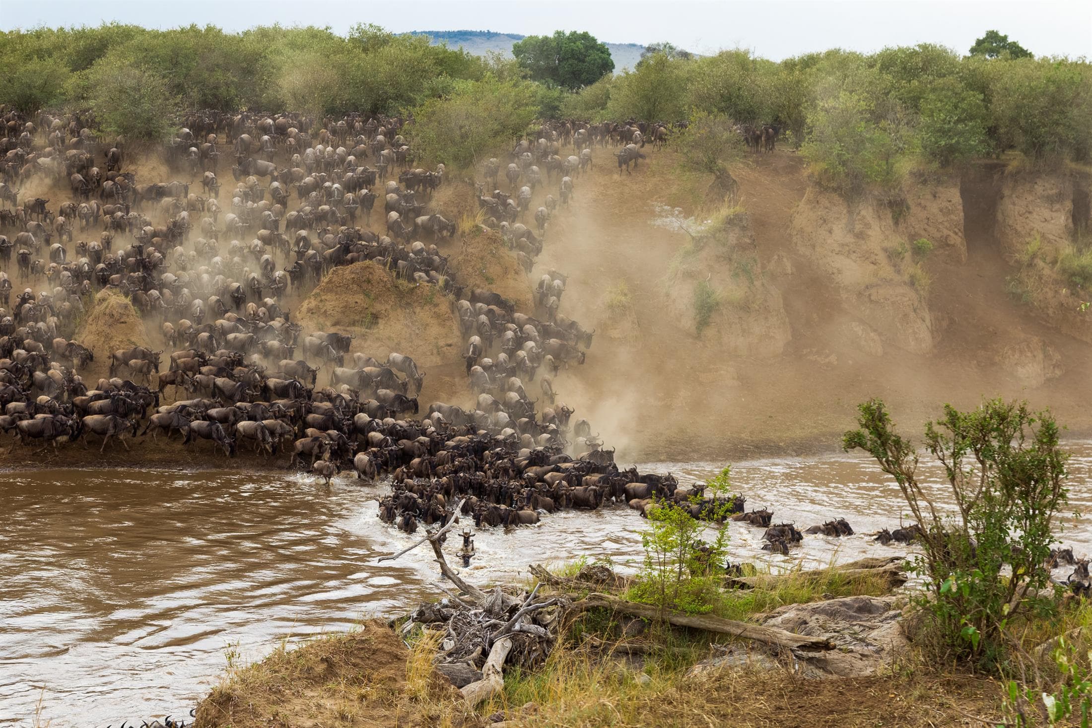 Tanzania safari destination photo