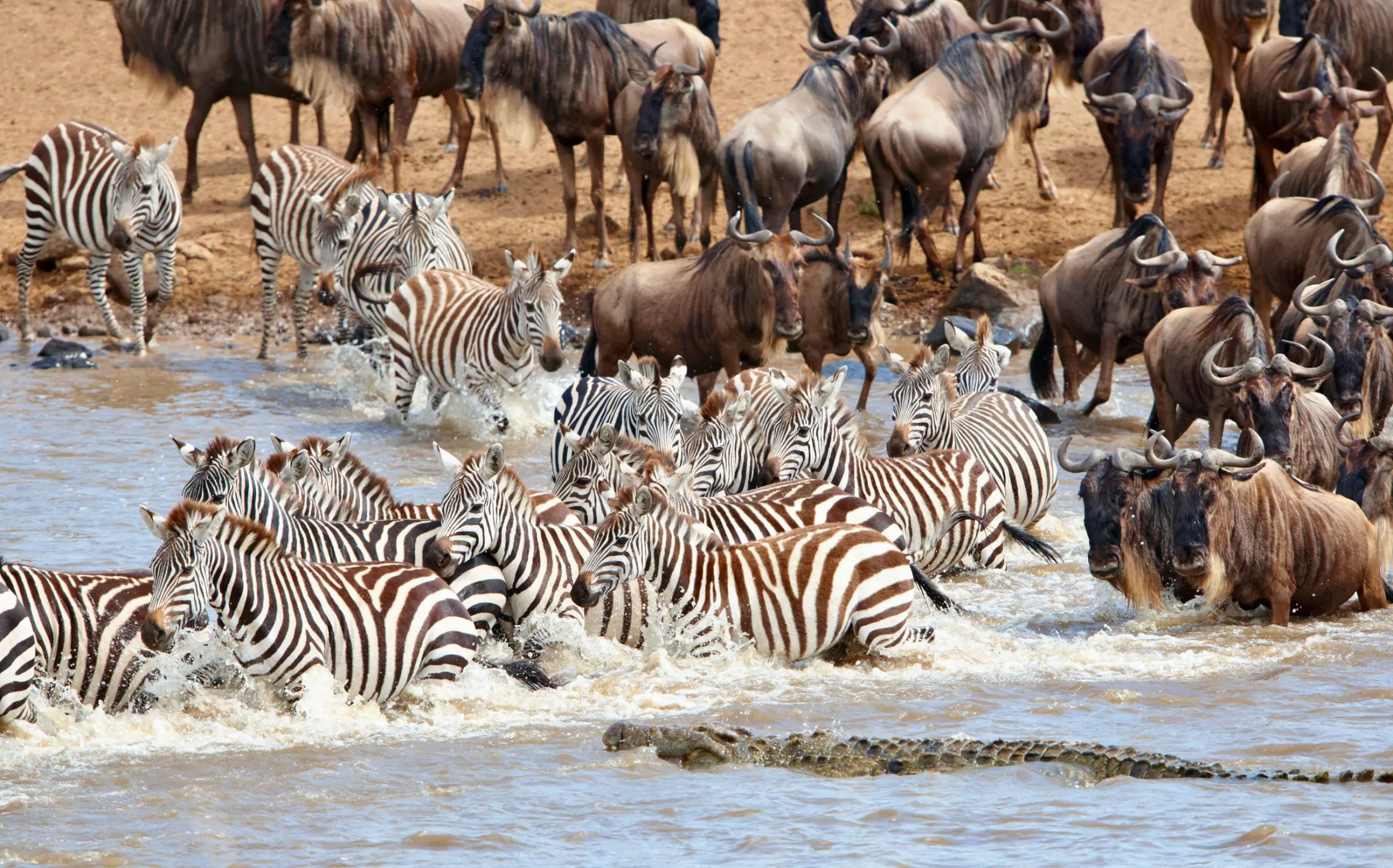 Tanzania safari destination photo