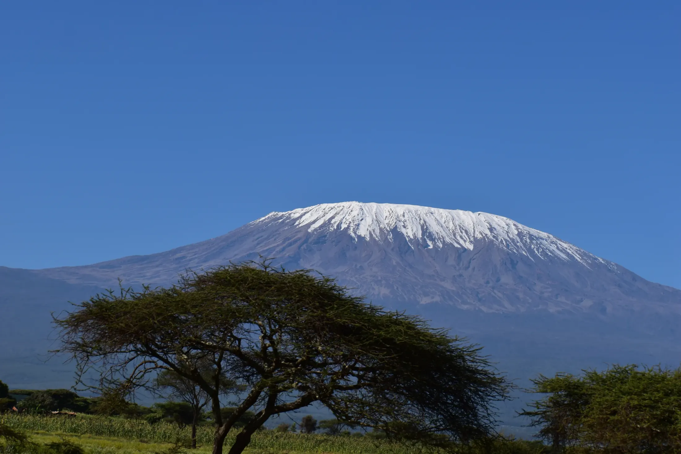 Mount Kilimanjaro