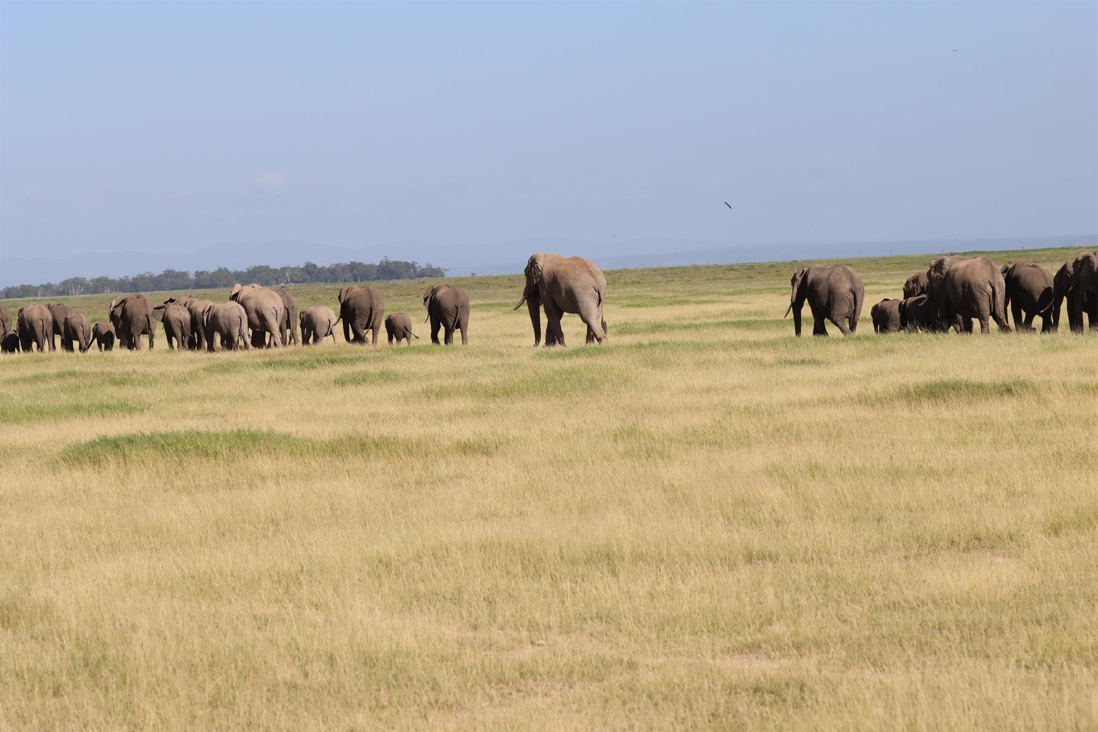 Tarangire National Park